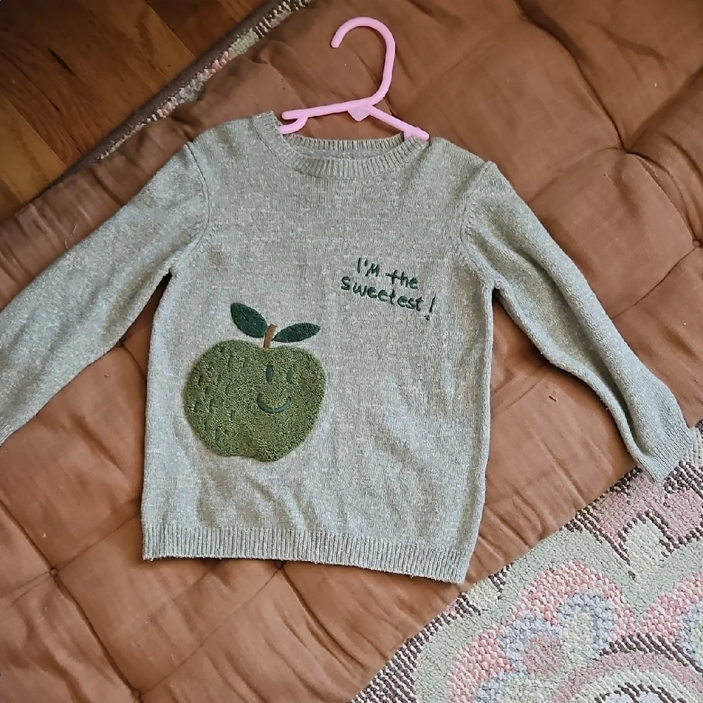 Zara Gray and Green Knit Sweater, Frwnch Terry Apple Motif - Picture 1 of 6